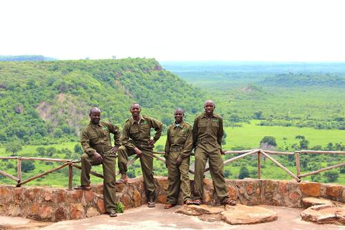 Forest protection in Northern Zimbabwe